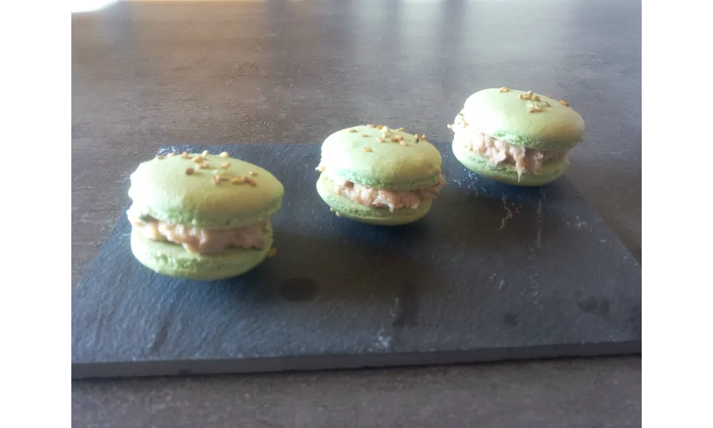 Macarons thon & saumon