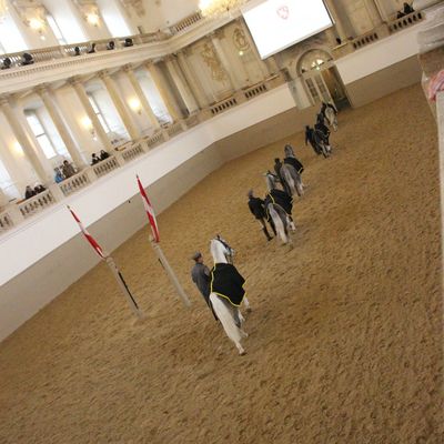 Vienne, autre chose que les monuments