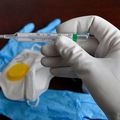 Coronavirus : à quand un vaccin? Anouchka