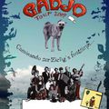 ce soir concert de gadjo à toulouse