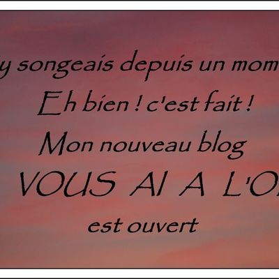 JE VOUS AI A L'OEIL !