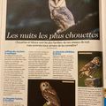 Les chouettes 