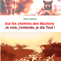 Sur les chemins des Moutons, Je vois, j'entends, je dis Tout ! De Pétrus romanus (1ère Partie)