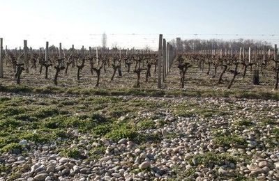 Belle-Vue, Gironville et Bolaire : un trio diaboliquement bon!