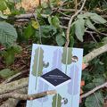 Si les forêts nous quittent Francesco Micieli Traduit de l'allemand par Christian Viredaz Éditions Hélice Hélas 