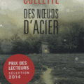 Sandrine Collette Des Noeuds D'Acier 257 pages