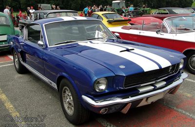 Shelby GT 350 fastback coupe-1966