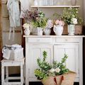 Shabby Chic