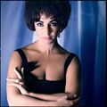 02/06/1961, Liz Taylor par Douglas Kirkland