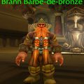 Brann Barbe-de-Bronze