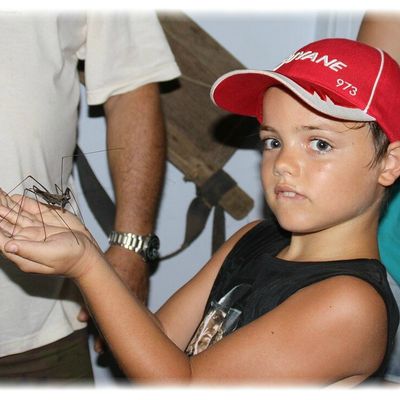 Les enfants .. peurs de rien !!!