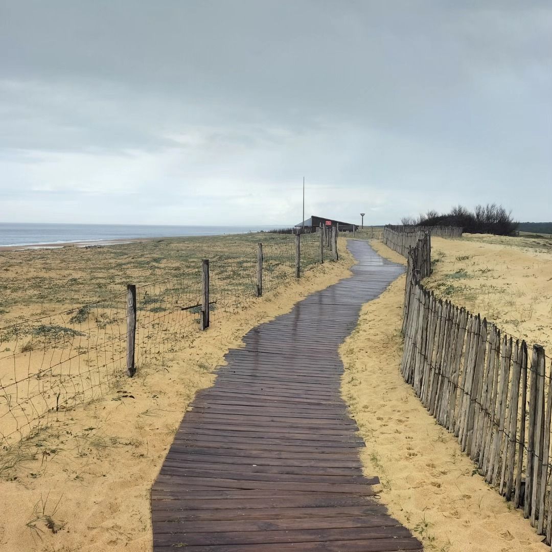 Tarnos, plage du métro, sentier des dunes, mars 2025, insta (40)