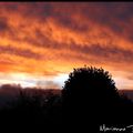 par ma fenetre, je vois...un matin brumeux de Lorraine..