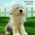 Traduction Old English Sheepdog - Alan Dart