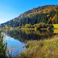 Pourquoi partir au Canada, l'automne resplendissant du Plateau.