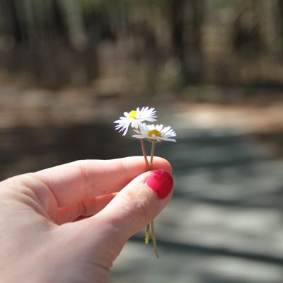 >> Happy hippie birthday <<