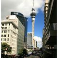 Vendredi 1er novembre : Découverte d'Auckland 