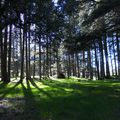 Sortie pédagogique dans le Moyen Atlas: lacs et forêts