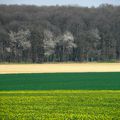 Rien ne sert de courir il faut partir à point 