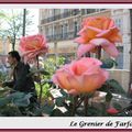 93 - Roses et Feuillages...