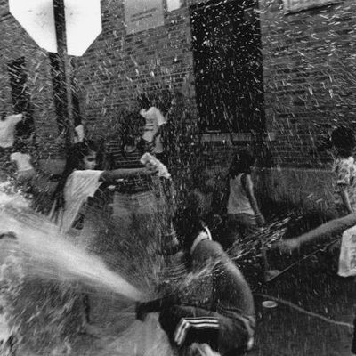 Le Saule (1998), d'Hubert Selby Jr