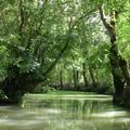 Au fil de l'eau dans le marais poitevin