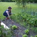 Le potager de la libraire