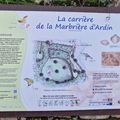 A PROPOS DES « MARBRES D’ARDIN » 