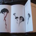 L'oeil de Medusa, mon dernier livre d'artiste