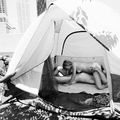 En camping,  yeux et oreilles sont à la fête pour un mateur amateur de galipettes.