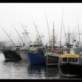 La côte ouest du KERRY 