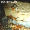 Une façon originale et exquise de présenter le fromage : Terrine aux Trois Fromages