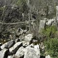 Termessos