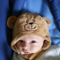 Le petit ourson - das Bärenmännchen
