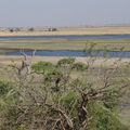 Botswana - Kasane - Parc National de Chobe