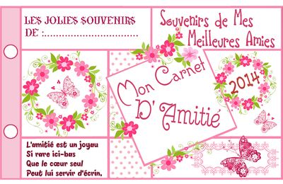 CARNET D'AMITIE SOUVENIR DE MES MEILLEURES COPINES