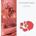 Les Calepins oubliés - Andy Pecoraro