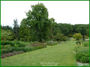 Les jardins de Harlow Carr; YORKSHIRE, Angleterre - 1ère partie/2