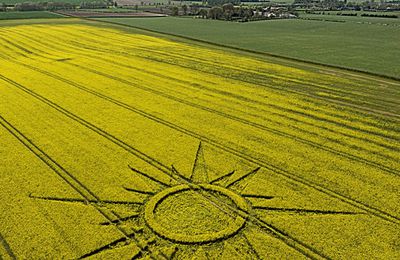 J'ai cru que l'Etoile était revenue