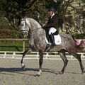 Concours de dressage au haras