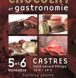 Salon du Chocolat et Gastronomie à Castres le 5/6 novembre 2011