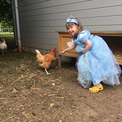 Des gonzesses et des poules