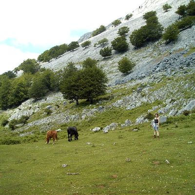 Parc Naurel d'Urkiola