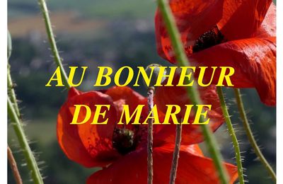 LUMINEUSE FIN D'ANNÉE 2023 AVEC "AU BONHEUR DE MARIE"