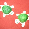 Petites tortues en coquille de noix