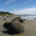 Nouvelle Zélande #4 - Moeraki Boulders, Dunedin