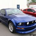 Mustang bleu