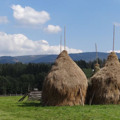 Suceava et la Bucovine