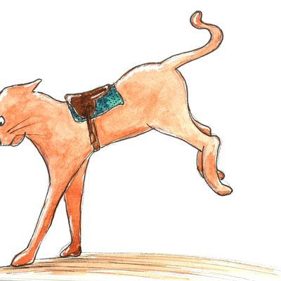 Quel est ce chat là ?