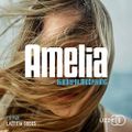 Amelia, de Kimberly McCreight